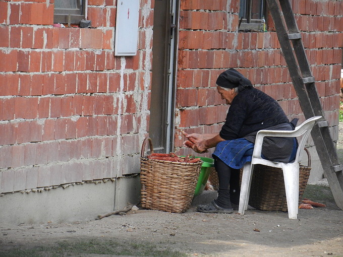 Lonjsko_Polje_14680.jpg