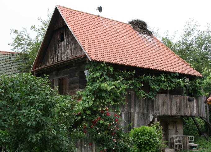 Im Naturpark Lonjsko Polje 4