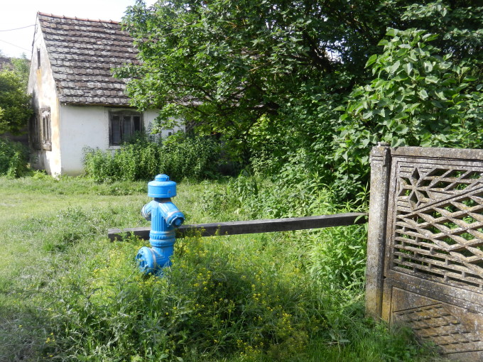 Lonjsko_Polje_42_680.jpg