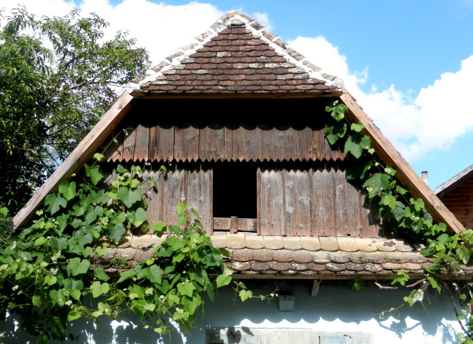 Im Lonjsko Polje