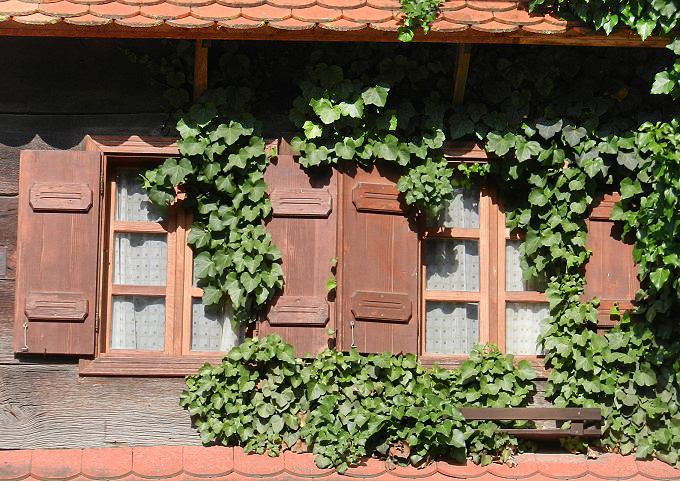 Im Lonjsko Polje 5