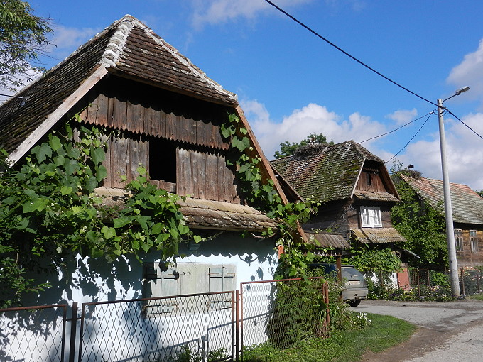 Im Lonjsko Polje 5