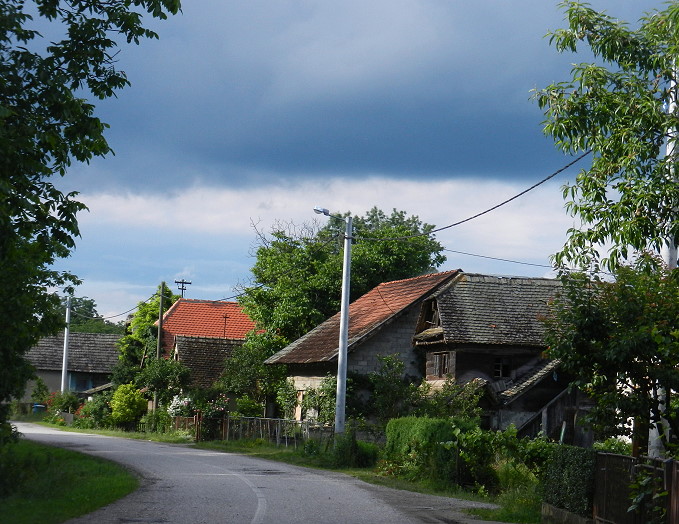 Lonjsko_Polje_7_680.jpg