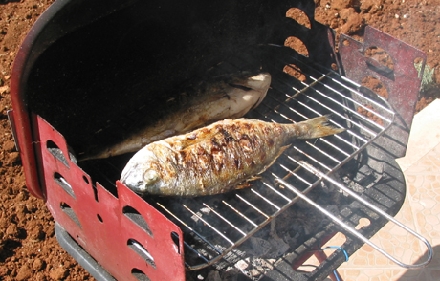 ESSEN > Gegrillter Fisch