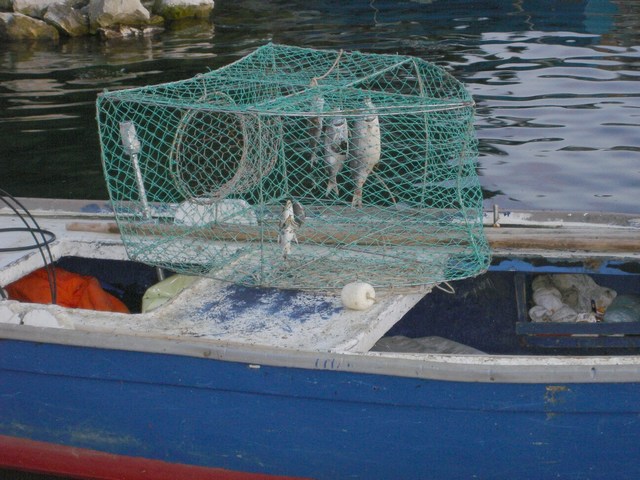 MEER > Boot der vergessenen Fische