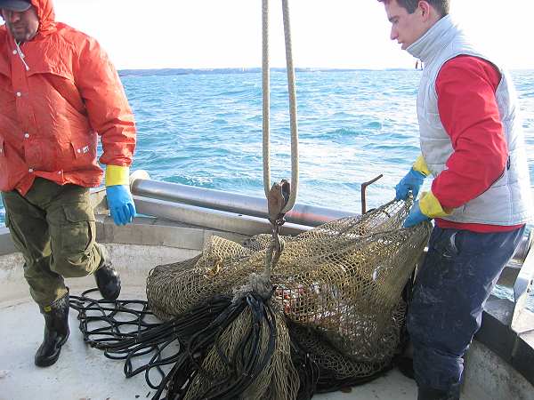 Fischfang mit Luciano-2 bei porec