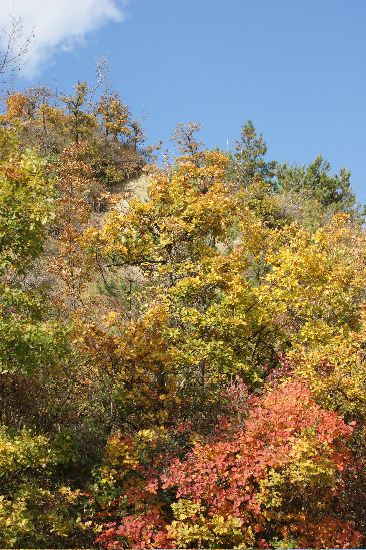 Istrien Herbststimmung