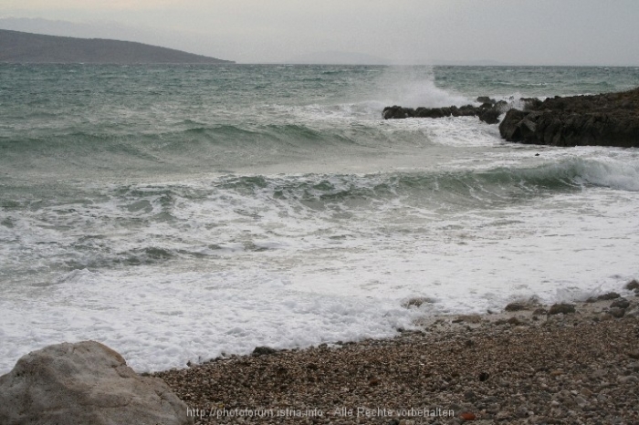 Surfen im Januar 5