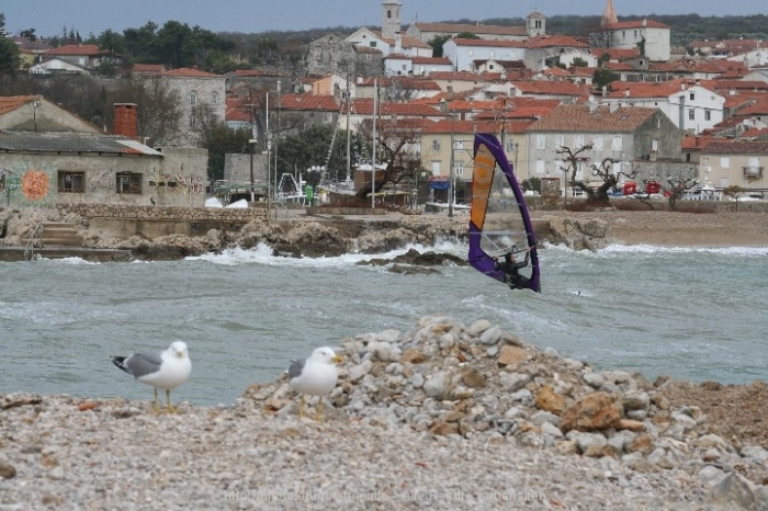 Surfen im Januar 9