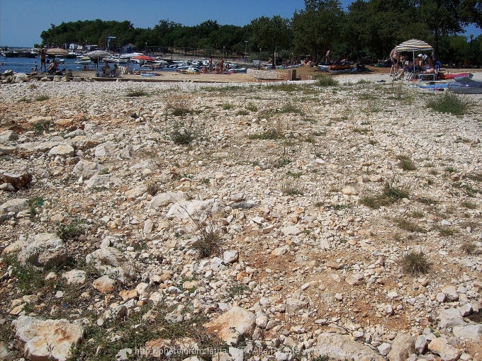 Campingplatz Bijela Uvala 4