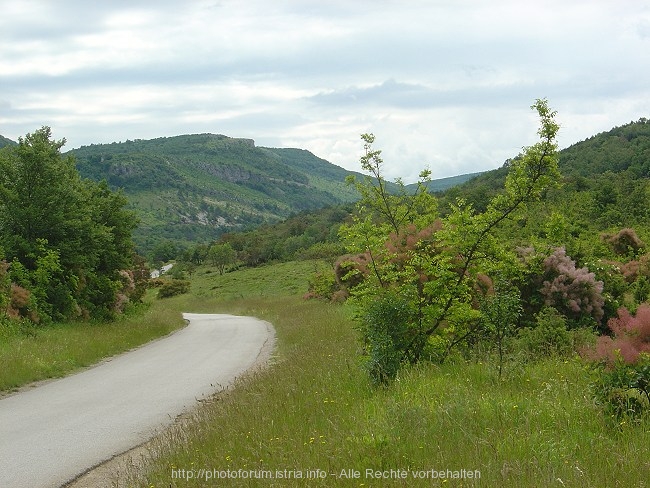 Hrastovlje