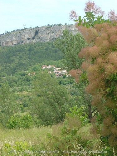 Hrastovlje