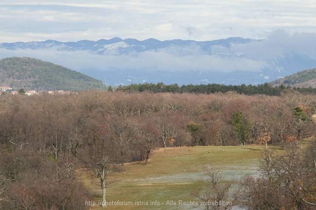 Lipica im Winter