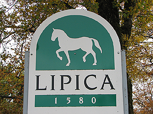 Lipica > Schild Lipica