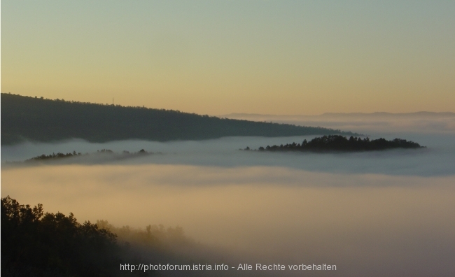 SOVINJAK > "Insel"welt am Mirnatal