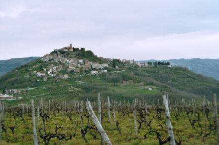 MOTOVUN > Panorama