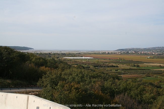 NATURSCHUTZGEBIET SECOVELJSKE SOLINE > jenseits der kroatischen Grenze an der Westküste Istriens