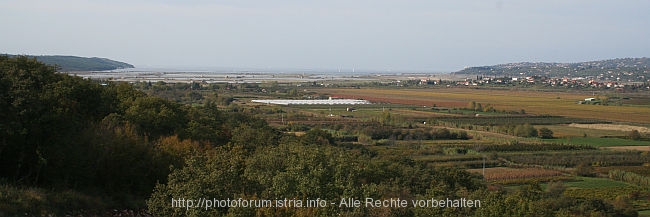 NATURSCHUTZGEBIET SECOVELJSKE SOLINE