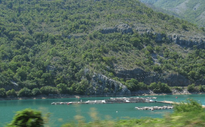 Neretva > Fischzucht