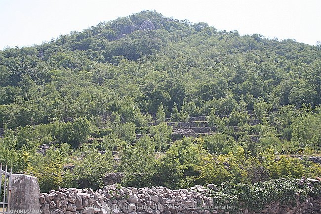 BROTNICE > Berg Osojnik