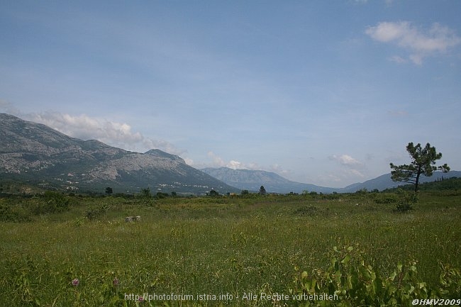 KONAVOSKO POLJE