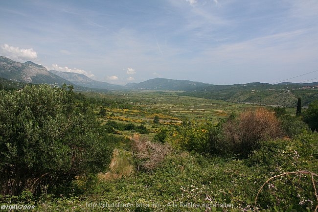 KONAVOSKO POLJE