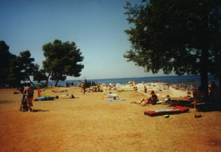 POREC > Borik > Strand Pical - Liegewiese