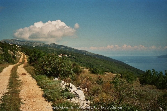 RIPENDA-KOSI > Wanderweg zwischen Rabac und Ripenda-Kosi