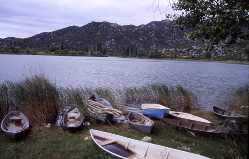 BACINSKA JEZERA > Peracko Blato > Boote