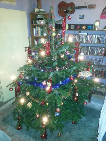 Weihnachtsbaum2014