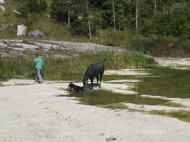 Zarecki Krov Pazin 9