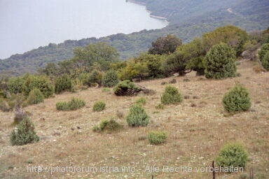 Otok CRES > Valun > Unterwegs nach Valun