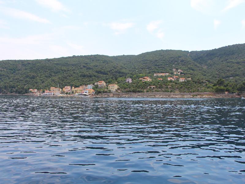 2014-7-51.jpg