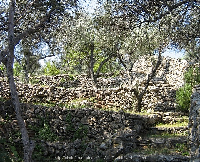 Otok Cres > Valun > Impressionen