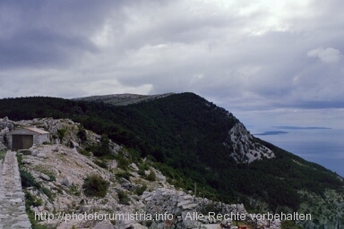 Otok CRES > Lubenice