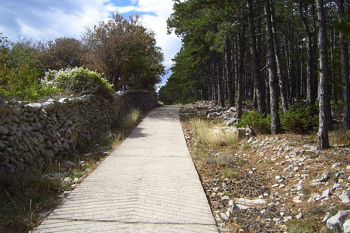 Wanderung nach Lubenice 04 > Wanderweg