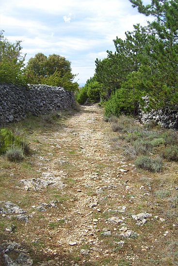 Wanderung nach Lubenice 05 > Wanderweg