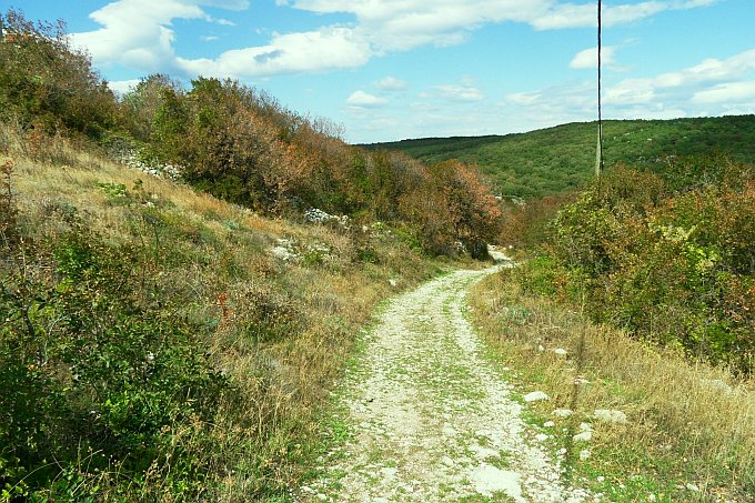 Wanderung nach Lubenice 06 > Wanderweg