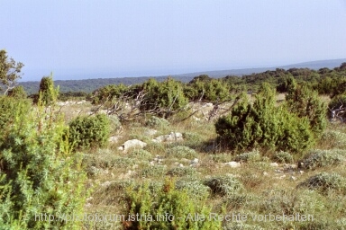 Otok CRES > auf dem Weg zur Majka Bozja od Loze