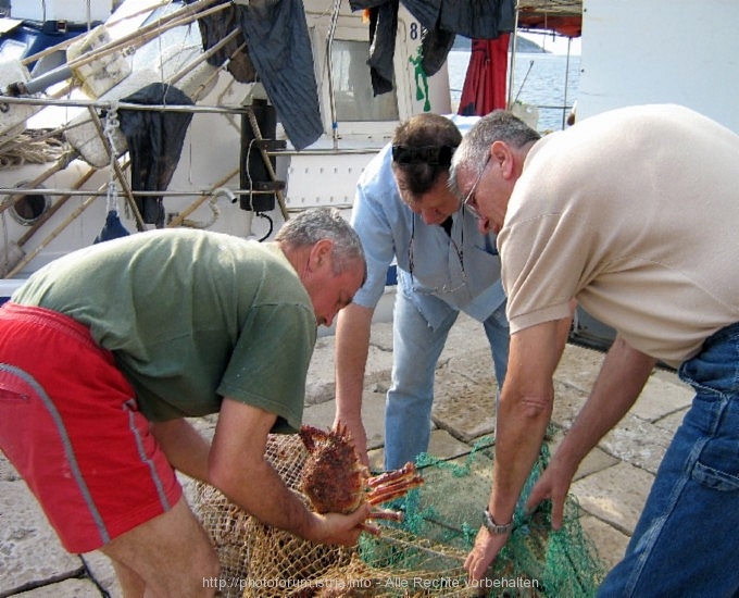 Otok CRES > Osor > Impressionen