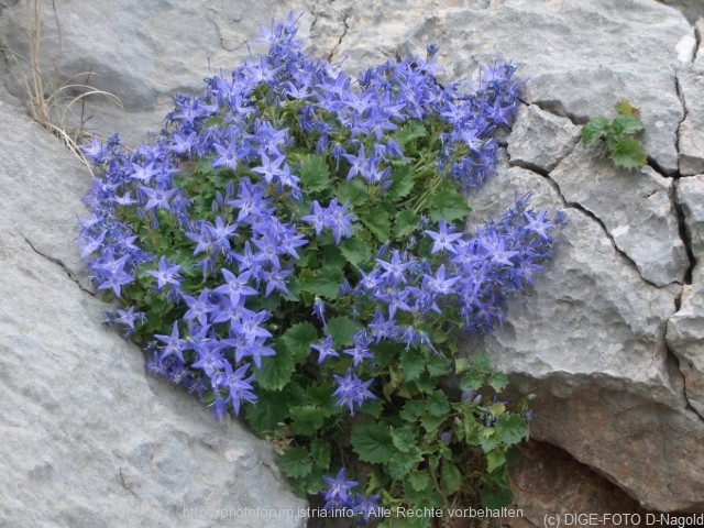 blaues Velebit