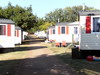 Camping Park Umag