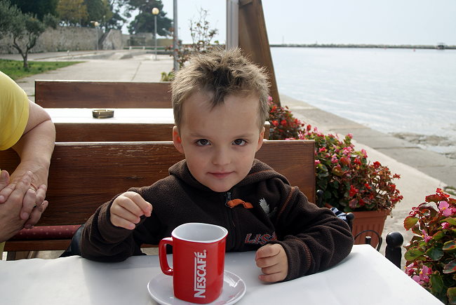 Novigrad 2011 4