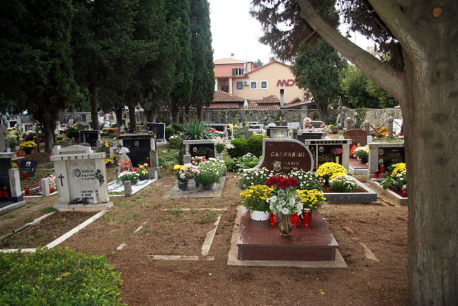 Novigrad 2011 5