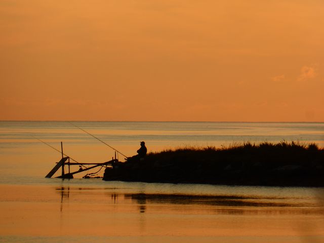 k-P1060354.jpg