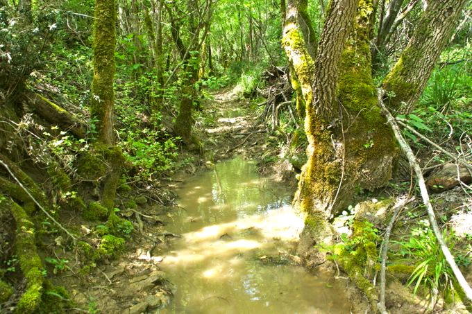 Naturpark Skarline > Wanderweg des Hl. Zenon 9