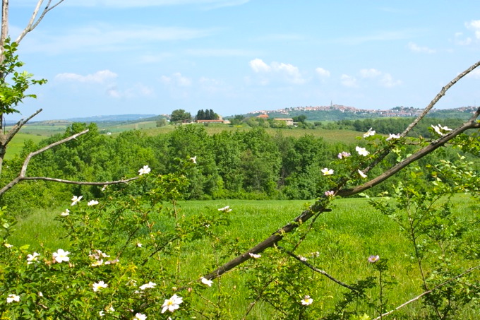 Naturpark Skarline > Wanderweg des Hl. Zenon 7