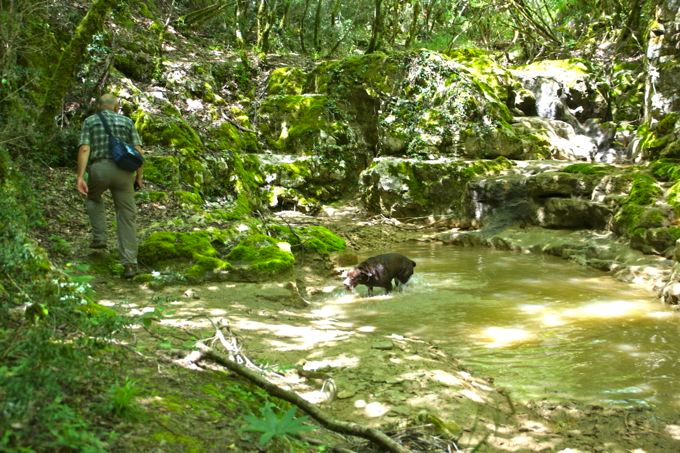 Naturpark Skarline > Wanderweg des Hl. Zenon 6