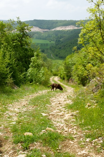 Naturpark Skarline > Wanderweg des Hl. Zenon 6