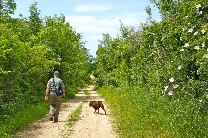 Naturpark Skarline > Wanderweg des Hl. Zenon 8